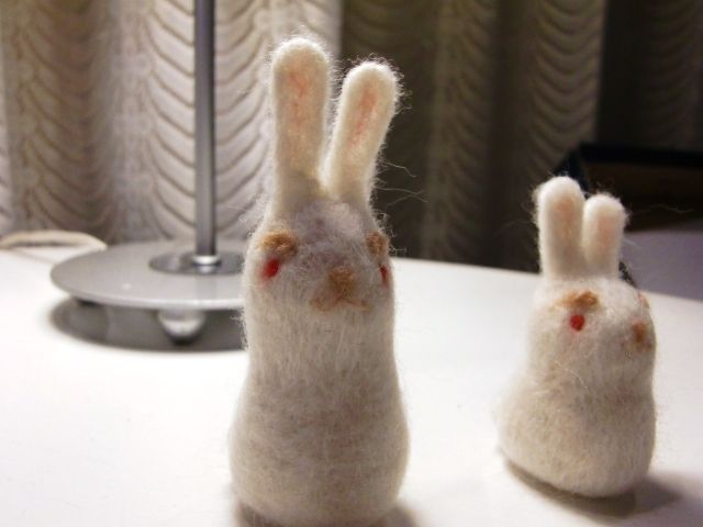 rabbit