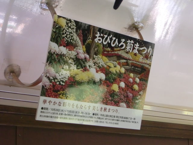 CIMG0145