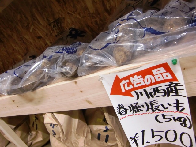 nagaimo