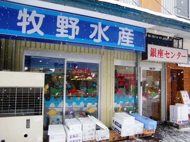 gaikann