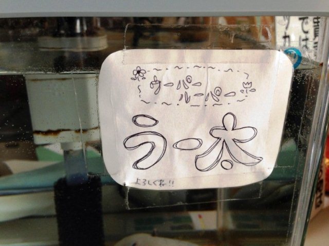 ��ǵ���� (2)