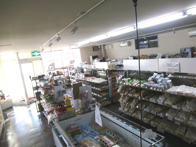 tennnai