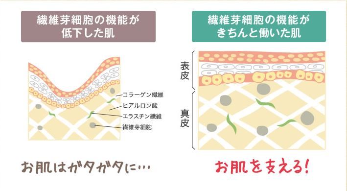肉割れ線がかゆい そんな時の対処法と肉割れを消す方法とは テレビや雑誌で紹介された商品blog