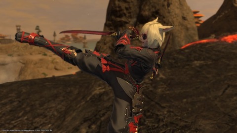 da33c07e90e97f51bff92b8eba7c875d0a64e8cb