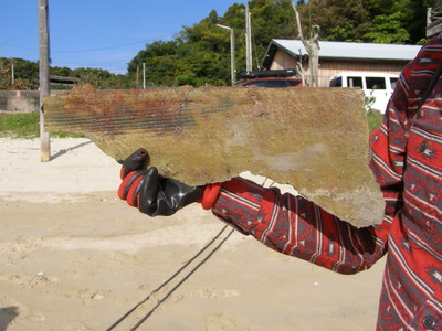 P1010172