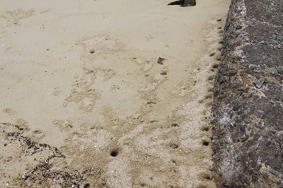 IMG_1871