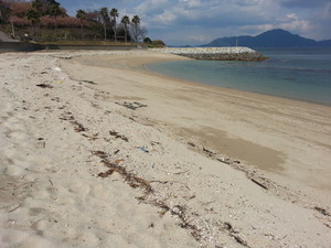 海岸ゴミ1