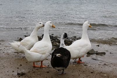 IMG_1876