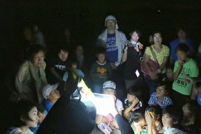 夜の生き物観察中