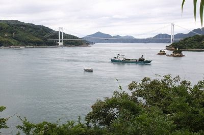 IMG_1949