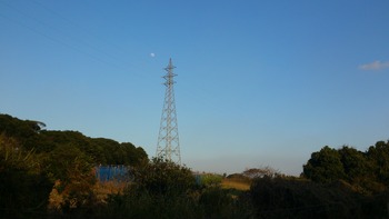 夕方の月