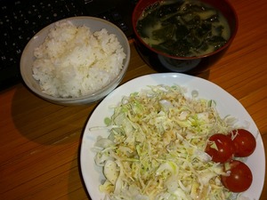 20130523朝ごはん