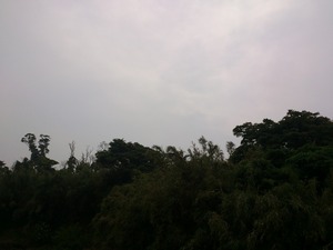 20120522天気