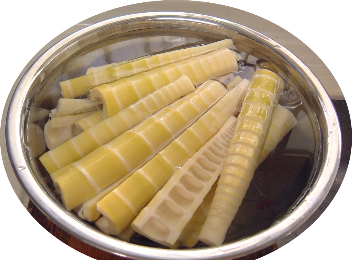 破竹ってご存知 Fuyuko 工房 破竹ってご存知 Fuyuko 工房