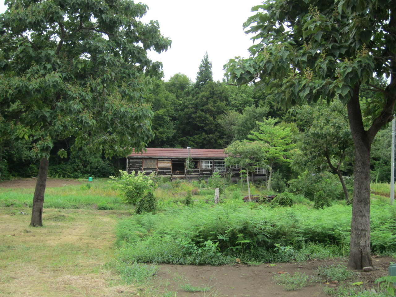 憧れの暮らしがそこにありました モリクラフト山田和雄さん登場 ぶんぶんのてげてげなるままに