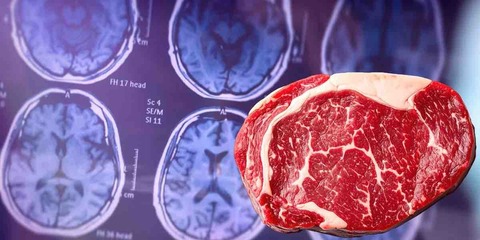 【ナゾロジー】肉を多く食べていると遺伝的にアルツハイマー病になりやすい人も認知症リスクが低くなる