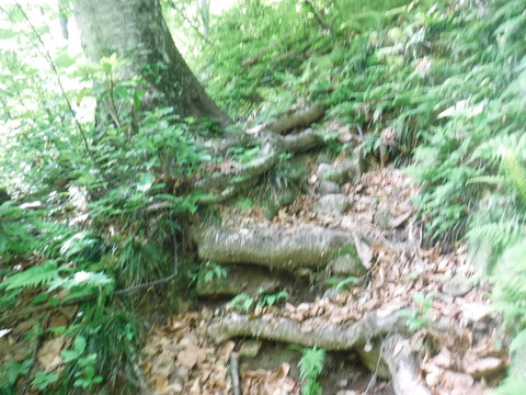 DSCF7930