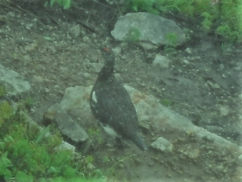 DSCF8566-2