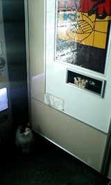 ジロジロ見てんじゃねえよ