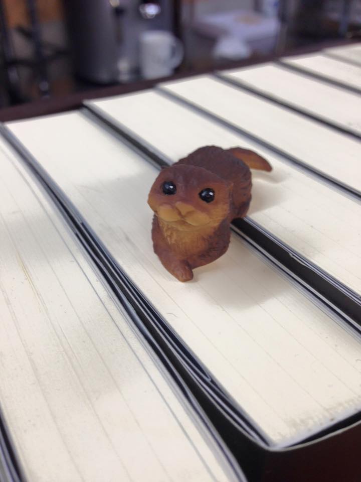 Fol嫁の習作日記 よーく考えよー道具は大事だよー 続 玄米低温貯蔵庫