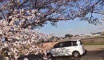 撮り鉄さん土手を通行した車にブチ切れるのイメージ画像