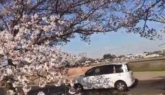 撮り鉄集団の前を車が通過し､「死ねよゴミ！｣罵声動画が物議