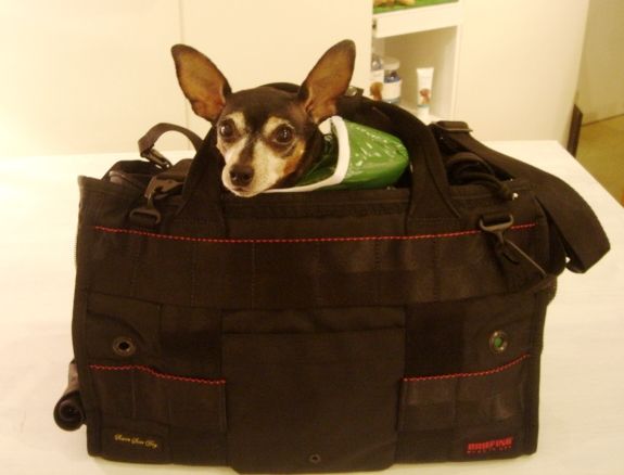 ブリーフィング セブンシーズドッグ ペットキャリーバッグ