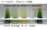 食品学実験_脂質_ステロールの検出