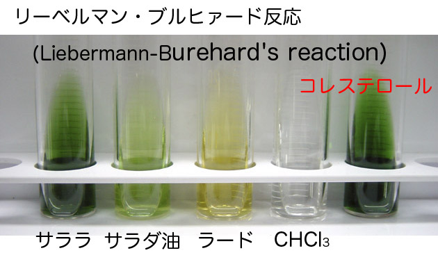 食品学実験1 栄 脂質の定性実験2 ブログ De 授業 2020 21