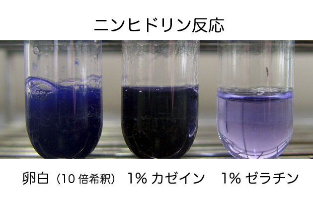 食品学実験2 管1 タンパク質の定性実験1 Post Test実施 ブログ De 授業 21