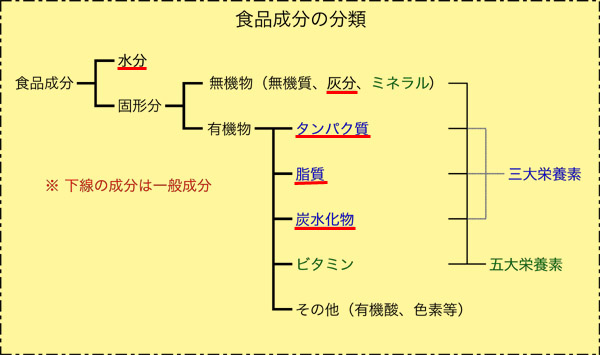 正成分と負成分