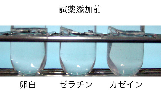 食品学実験2 管1 タンパク質の定性実験1 Post Test実施 ブログ De 授業 21