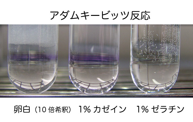 食品学実験2 管 タンパク質の定性実験1 ブログ De 授業 21