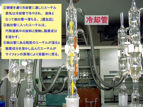 ブログ De 授業 21 食品学実験 管理 ブログ De 授業 21 食品学実験 管理