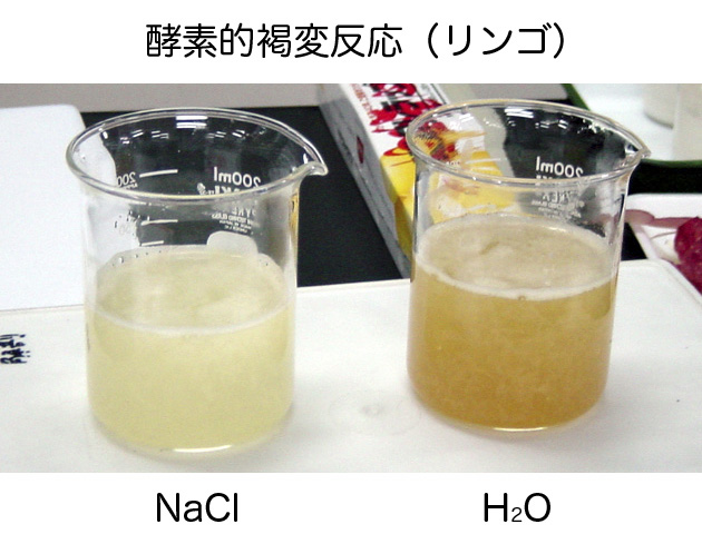 食品学実験1 栄4 天然色素に関する実験2 ブログ De 授業 2020 21