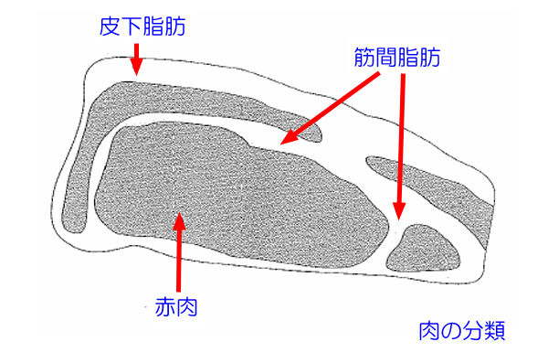 ブログ De 授業 21 管理栄養士国試対策