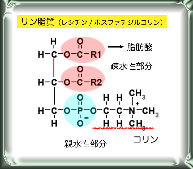 ブログ De 授業 2020 21 2007 06