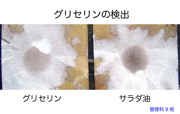 食品学実験2 管 脂質の定性実験2 ブログ De 授業 2020 21