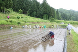 魚沼田植え
