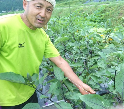 パンチィーファームさん