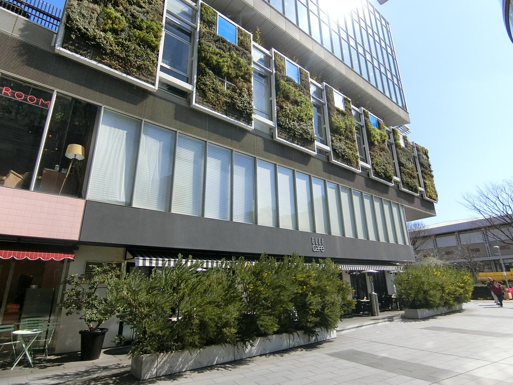 カジュアル フレンチのお店が作る薬膳カレー 表参道 ぶらり ふらり西やら東やら 美味しいもの探し2nd カジュアル フレンチのお店が作る薬膳カレー 表参道 ぶらり ふらり西やら東やら 美味しいもの探し2nd