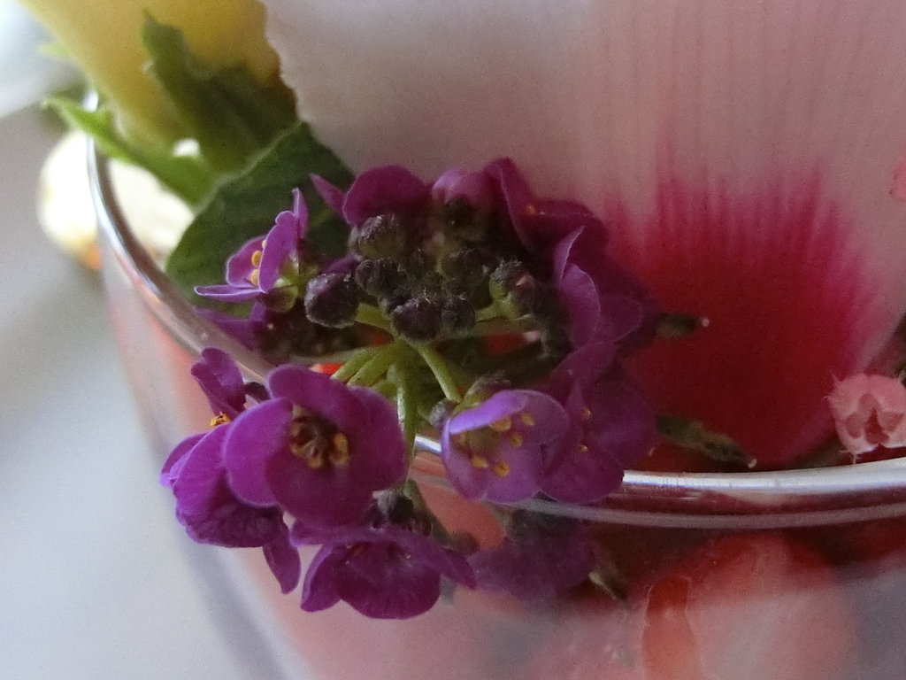 見て良し食べて美味しの食用花とイチゴのパフェ 元町 中華街 ぶらり ふらり西やら東やら 美味しいもの探し2nd 見て良し食べて美味しの食用花とイチゴのパフェ 元町 中華街 ぶらり ふらり西やら東やら 美味しいもの探し2nd