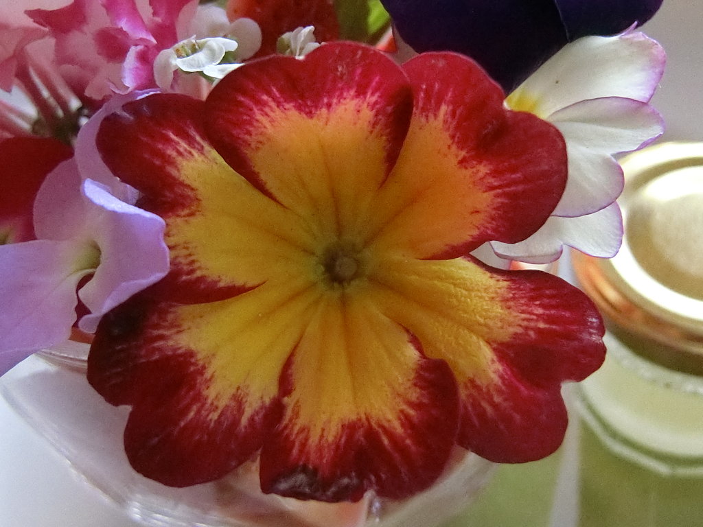 見て良し食べて美味しの食用花とイチゴのパフェ 元町 中華街 ぶらり ふらり西やら東やら 美味しいもの探し2nd 見て良し食べて美味しの食用花とイチゴのパフェ 元町 中華街 ぶらり ふらり西やら東やら 美味しいもの探し2nd