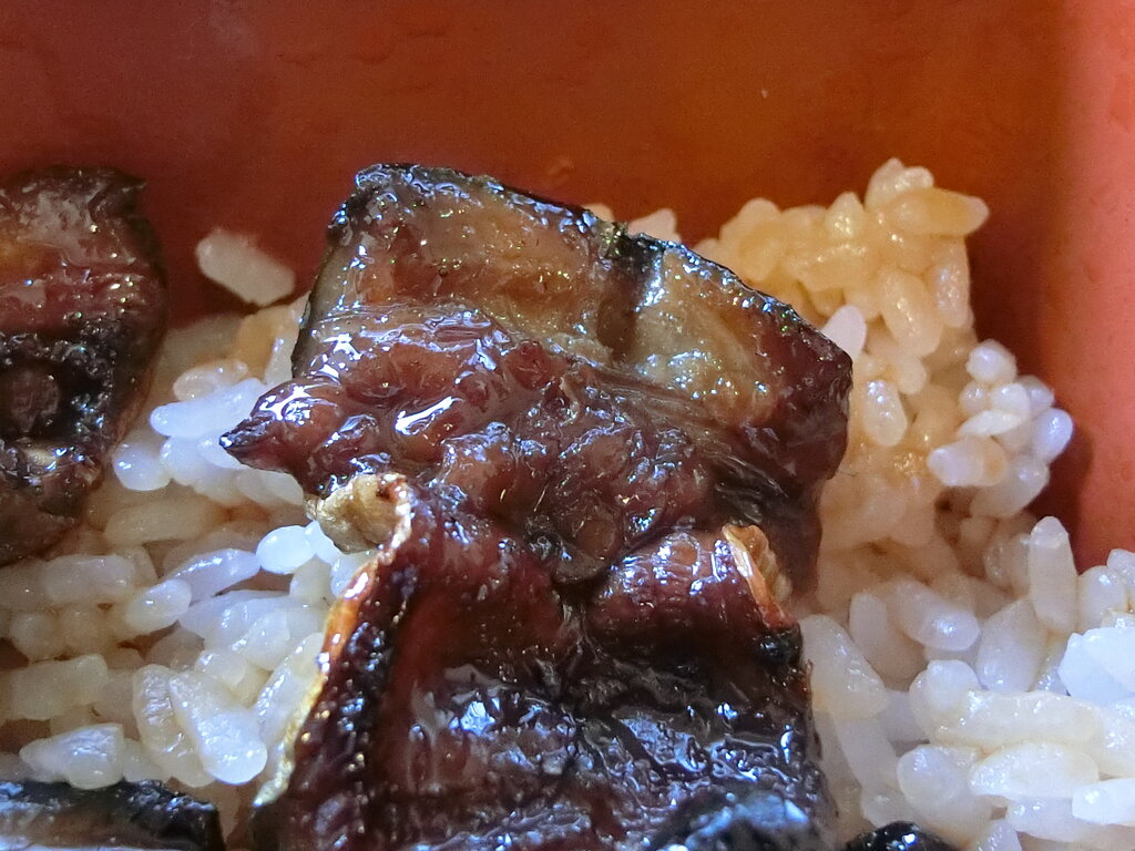 食べられるお店は 極わずかな八ツ目ウナギ 巣鴨 ぶらり ふらり西やら東やら 美味しいもの探し2nd 食べられるお店は 極わずかな八ツ目ウナギ 巣鴨 ぶらり ふらり西やら東やら 美味しいもの探し2nd