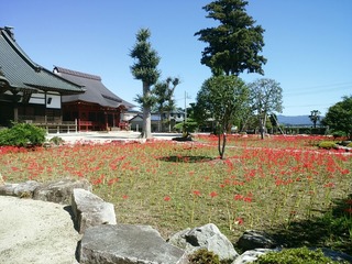 [����:0a8eb208-s.jpg]