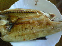 137c69f6.jpg