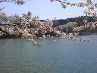 1c039d4a.jpg