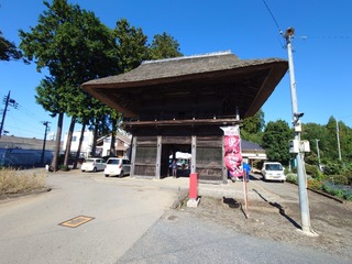 20241020_104546