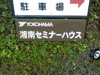 21e693b6.jpg