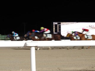 DSC_0017_BURST20231229174716159